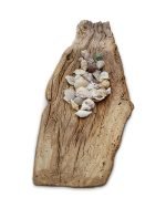 Salvaged Oak Table Décor - Image 2