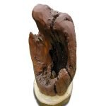 Salvaged Elm Rustic Floor Lamp On Wooden Base