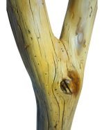 Salvaged Elm Split Branch Pillar Candle Holder - Image 3