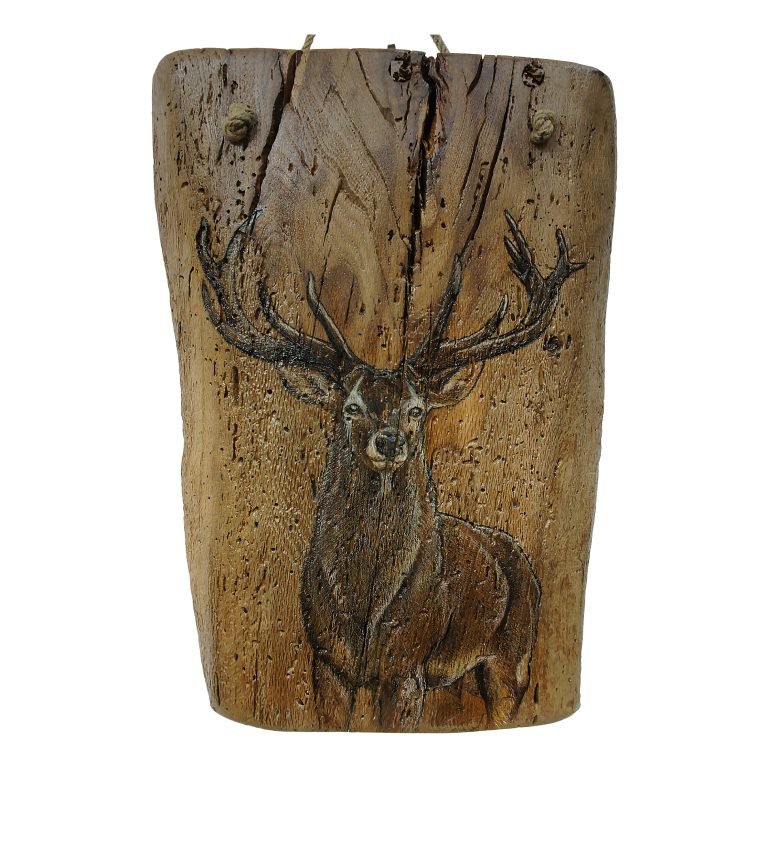 Pyrography Art Stag on Reclaimed Oak Plaque
